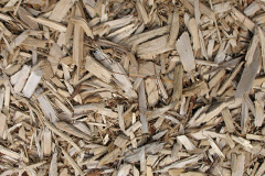 biomass boilers Ddol