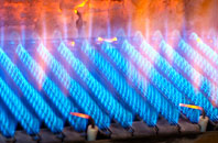 Ddol gas fired boilers